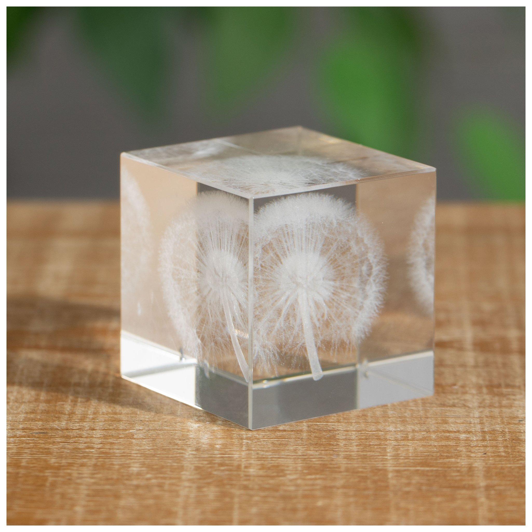 Dandelion868ページ Glass Cube With Dandelion | Hobby Lobby | 2443547