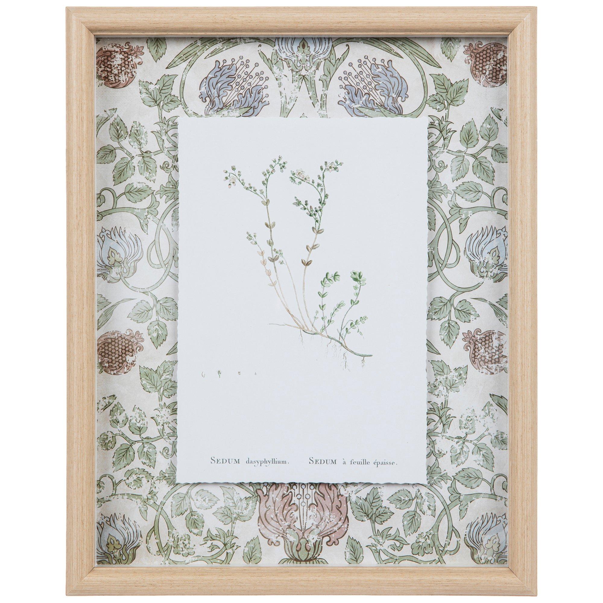 Vintage Botanical Print Framed Wall Decor Hobby Lobby 2446656