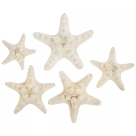 White Armored Starfish | Hobby Lobby | 244970