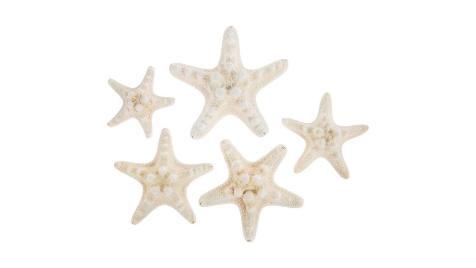★THE COLDEST MOMENT★TCM cloudy starfish linger T★2colors MUSINSA | THE COLDEST MOMENT TCM vintage starfish hoodie