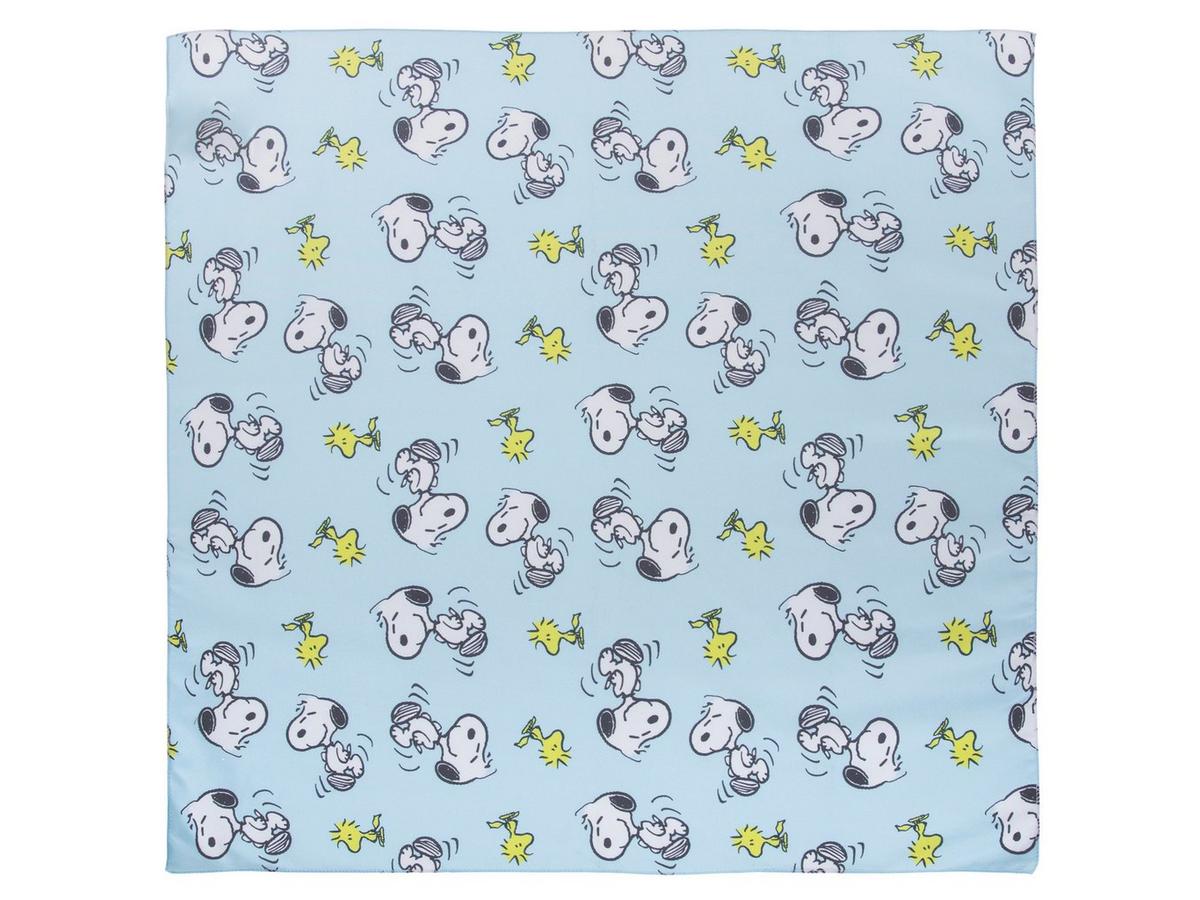 Snoopy & Woodstock Bandana | Hobby Lobby | 2449734