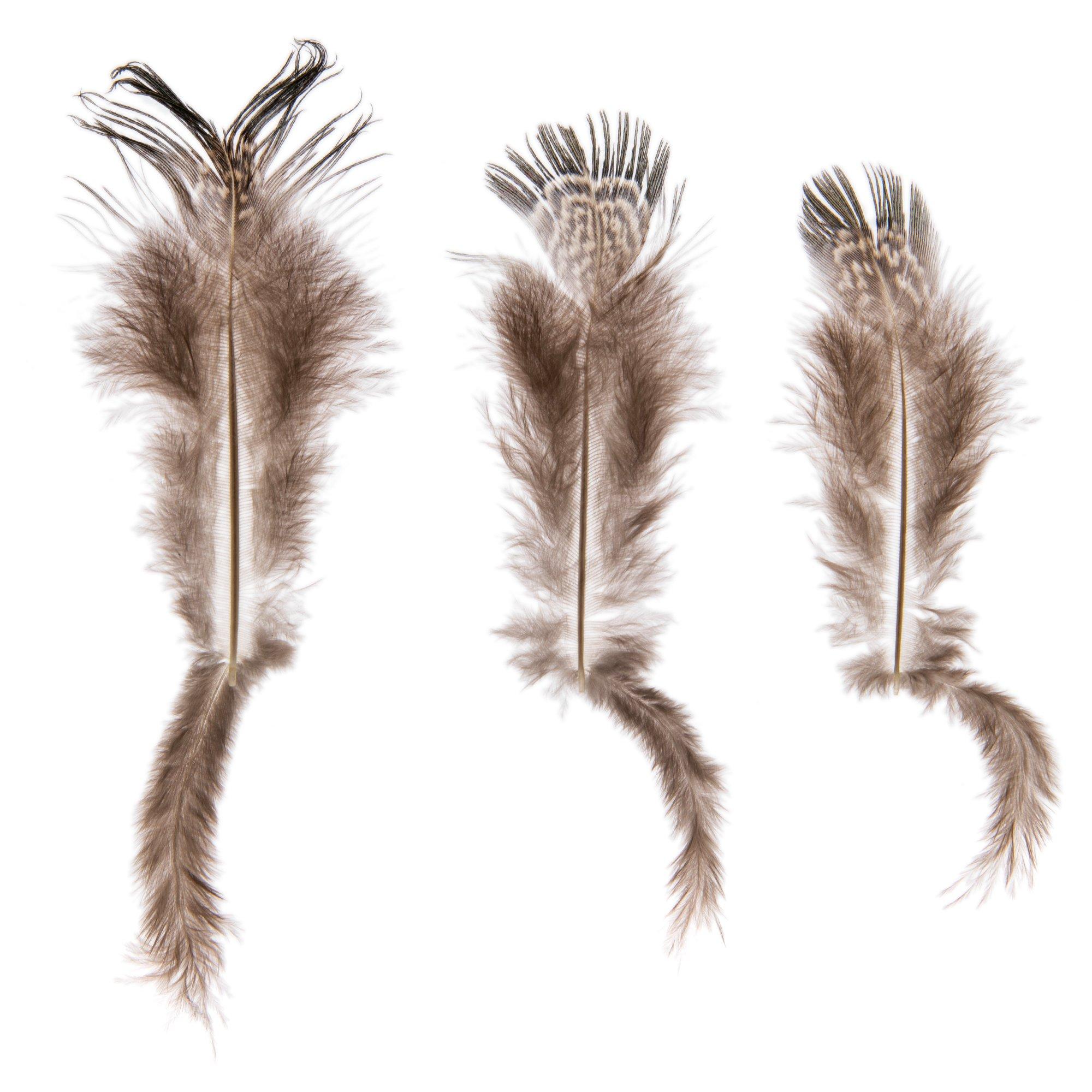 Ringneck Pheasant Almond Feathers | Hobby Lobby | 2456028
