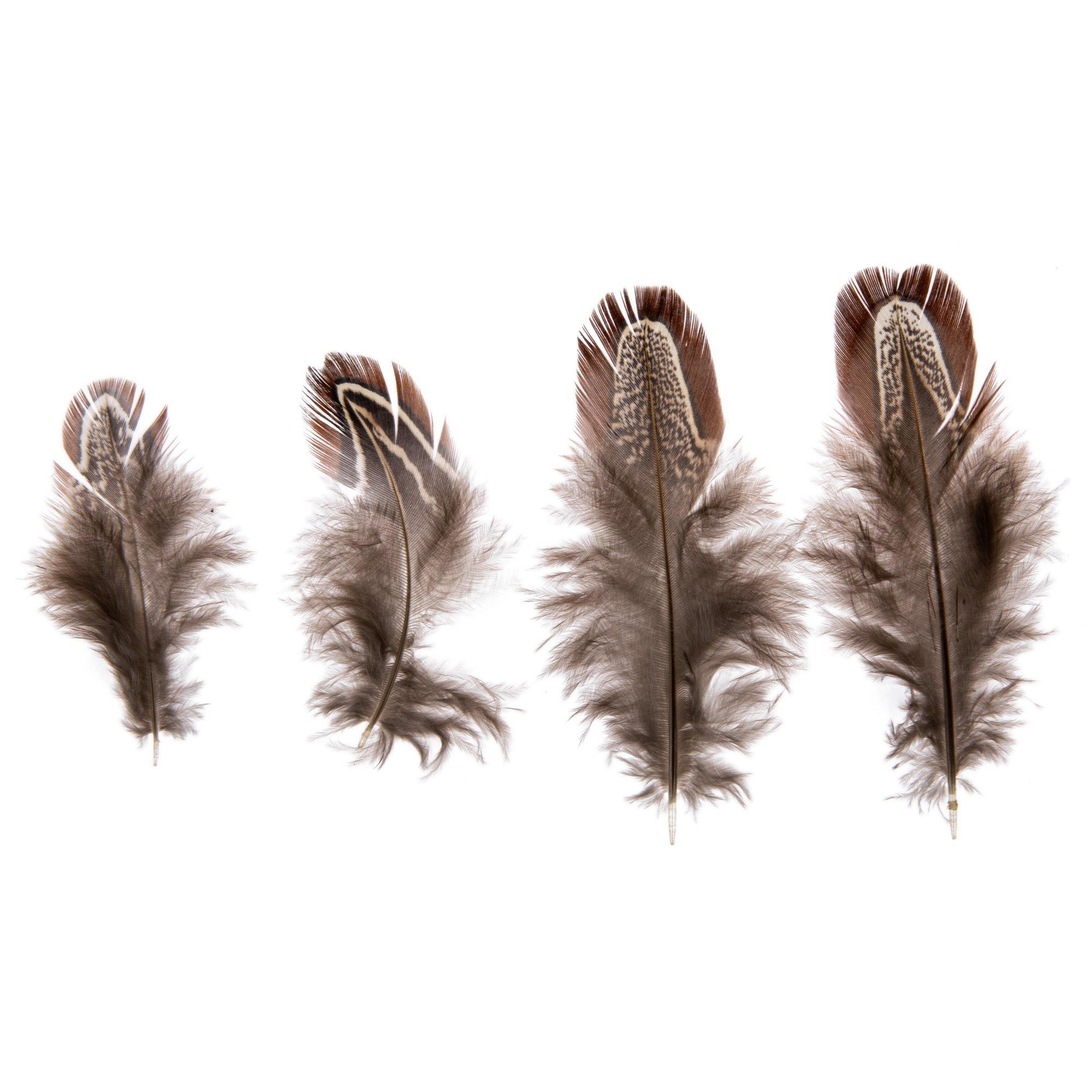 【極美品】UA / FINE FEATHERS MAKE FINE BIRDS UA - Fine Feathers Make Fine Birds - Amazon.com Music