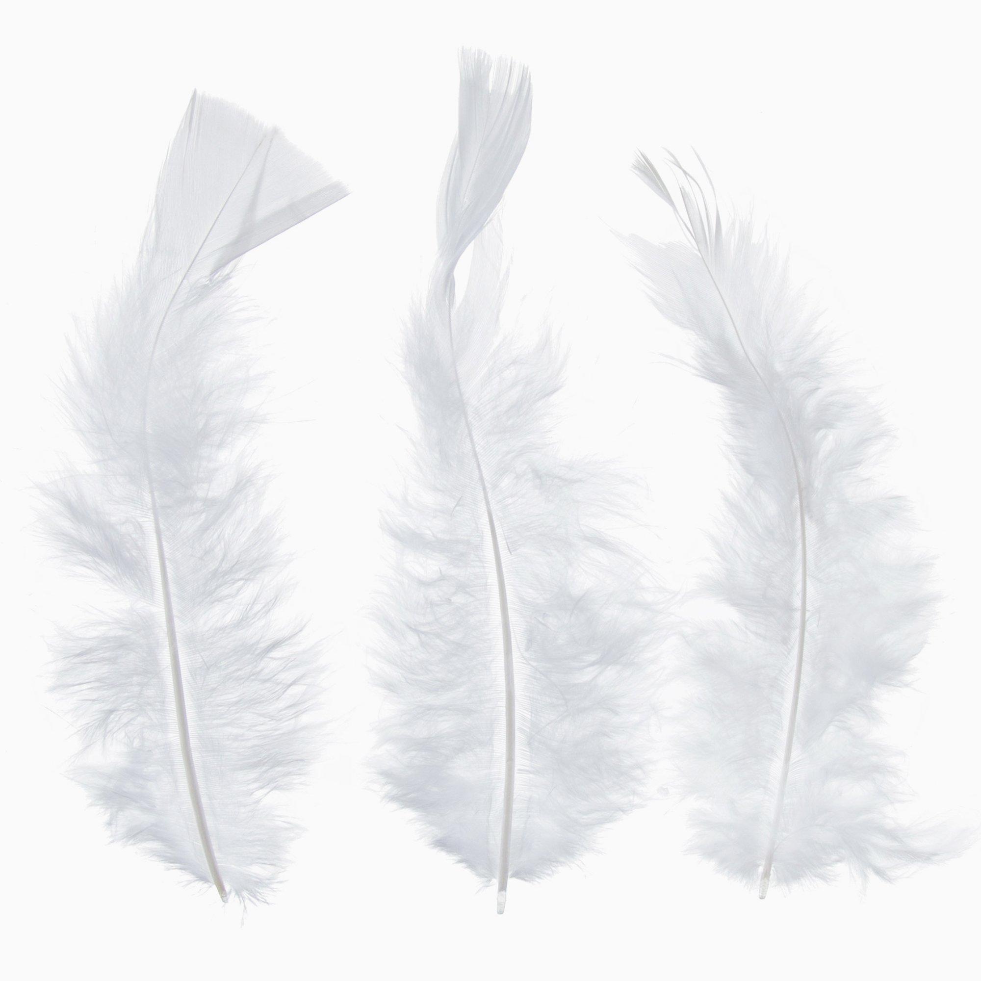 Hello Hobby White Feathers - Arts and Craft - 4.75 x 0.67 x 7.75 