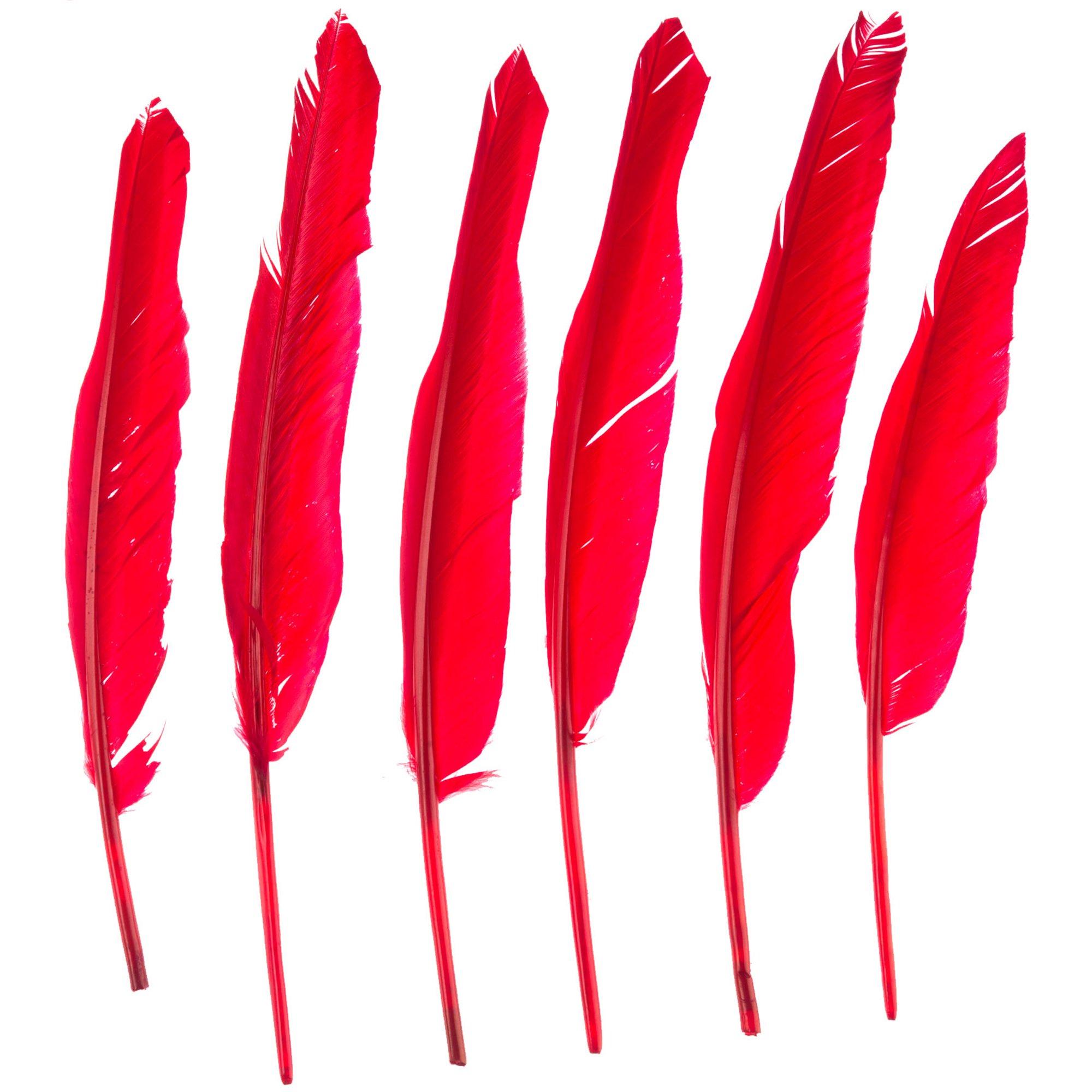 Red | Hair Feathers