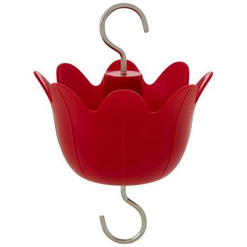 Hummingbird Feeder Ant Moat