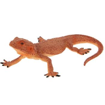 Bearded Dragon