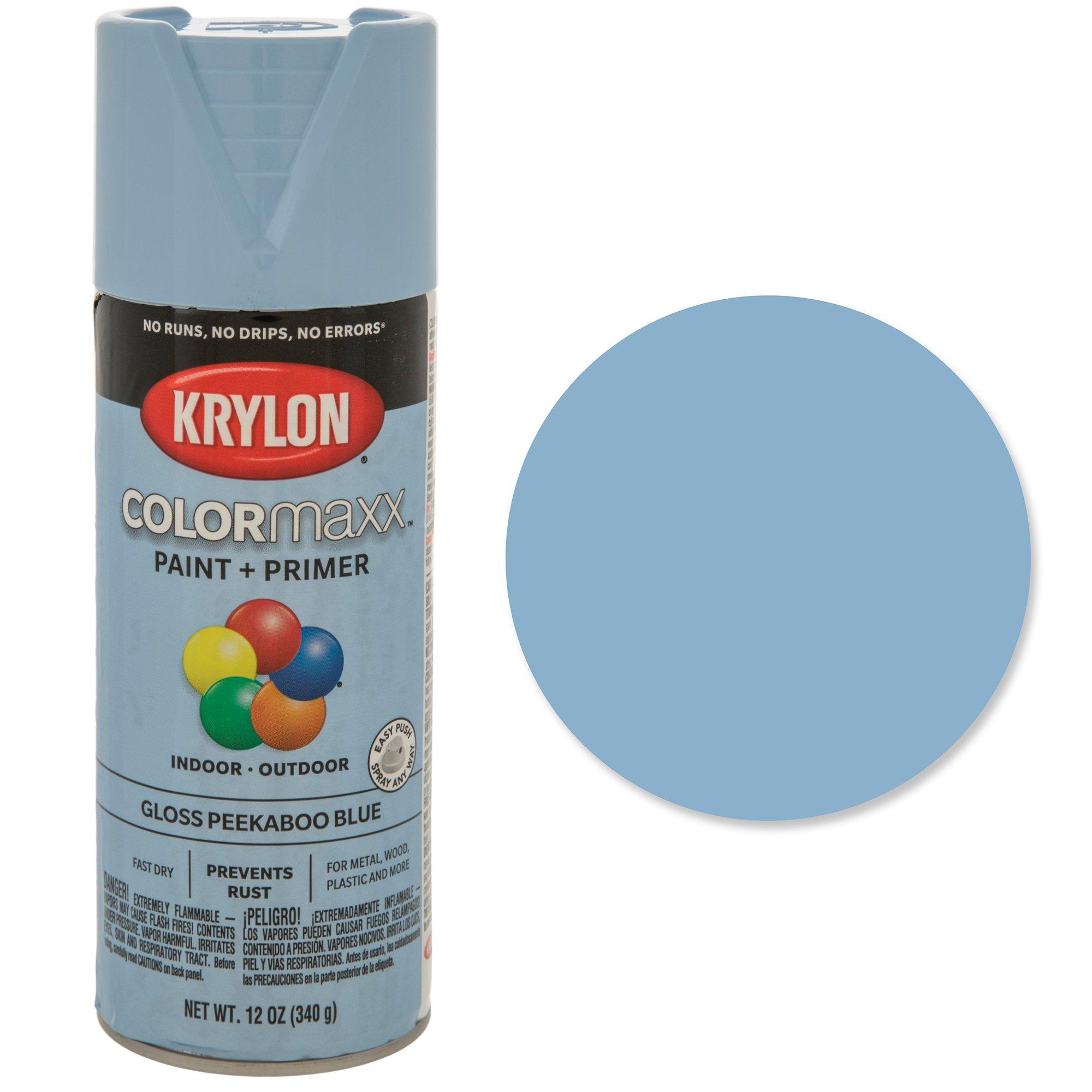 Glossy Krylon Color Maxx Spray Paint &amp; Primer