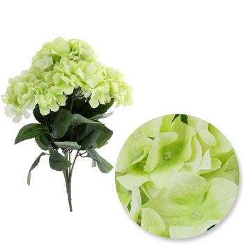Hydrangea Bush