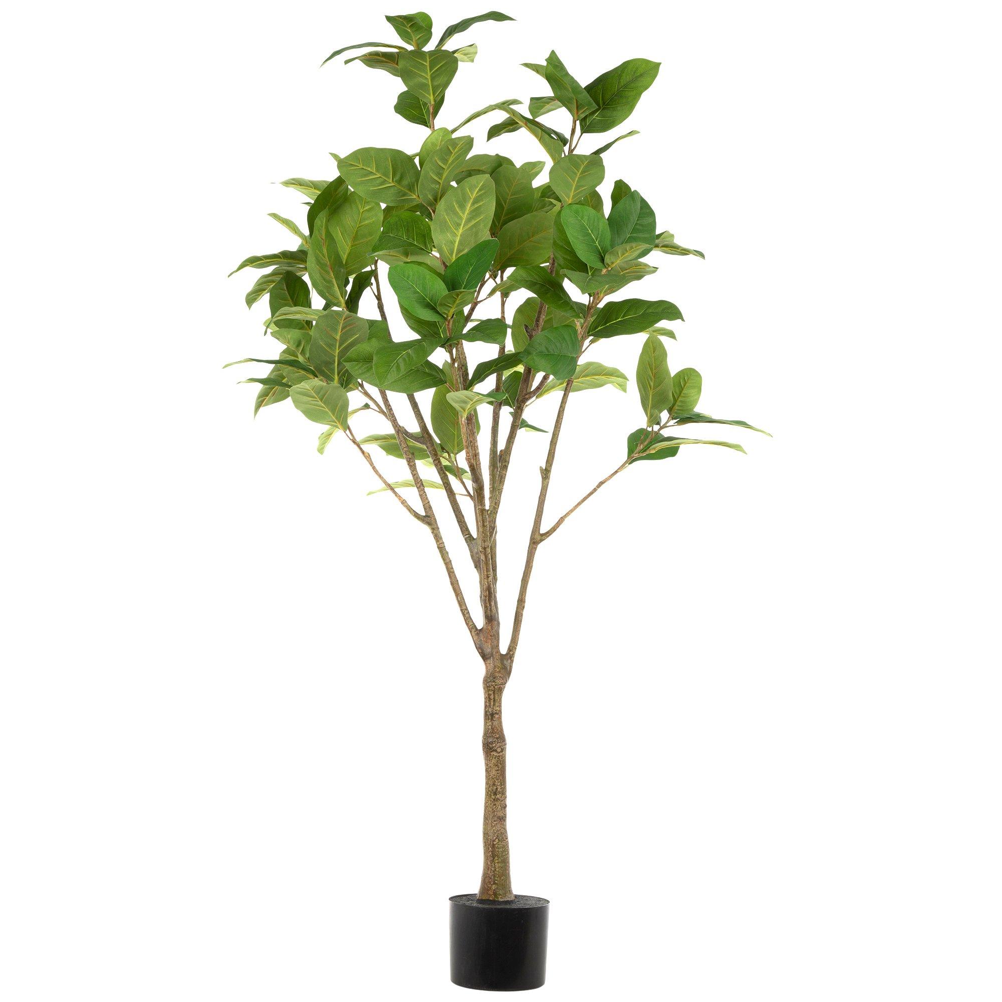 self watering plant systems Casa De Amor Self Watering Wick Cord- Automatic Plant Watering System