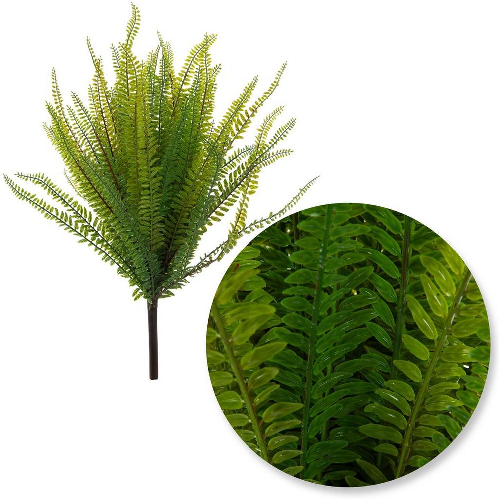 Boston Fern Bush | Hobby Lobby | 2492486