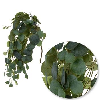 Eucalyptus Leaf Bush