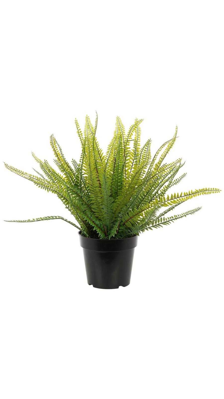 激レア★ニューヨーク エンパイアステートビル ダンバリーミント★ Shop Durban Z [.75g] | BEYOND / HELLO - St. Louis Metro East