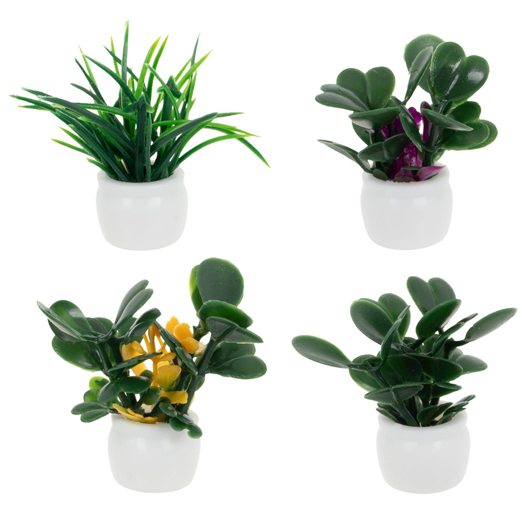 peace lily vs bird of paradise Tranquil Moments Peace Lily Plant main image 1