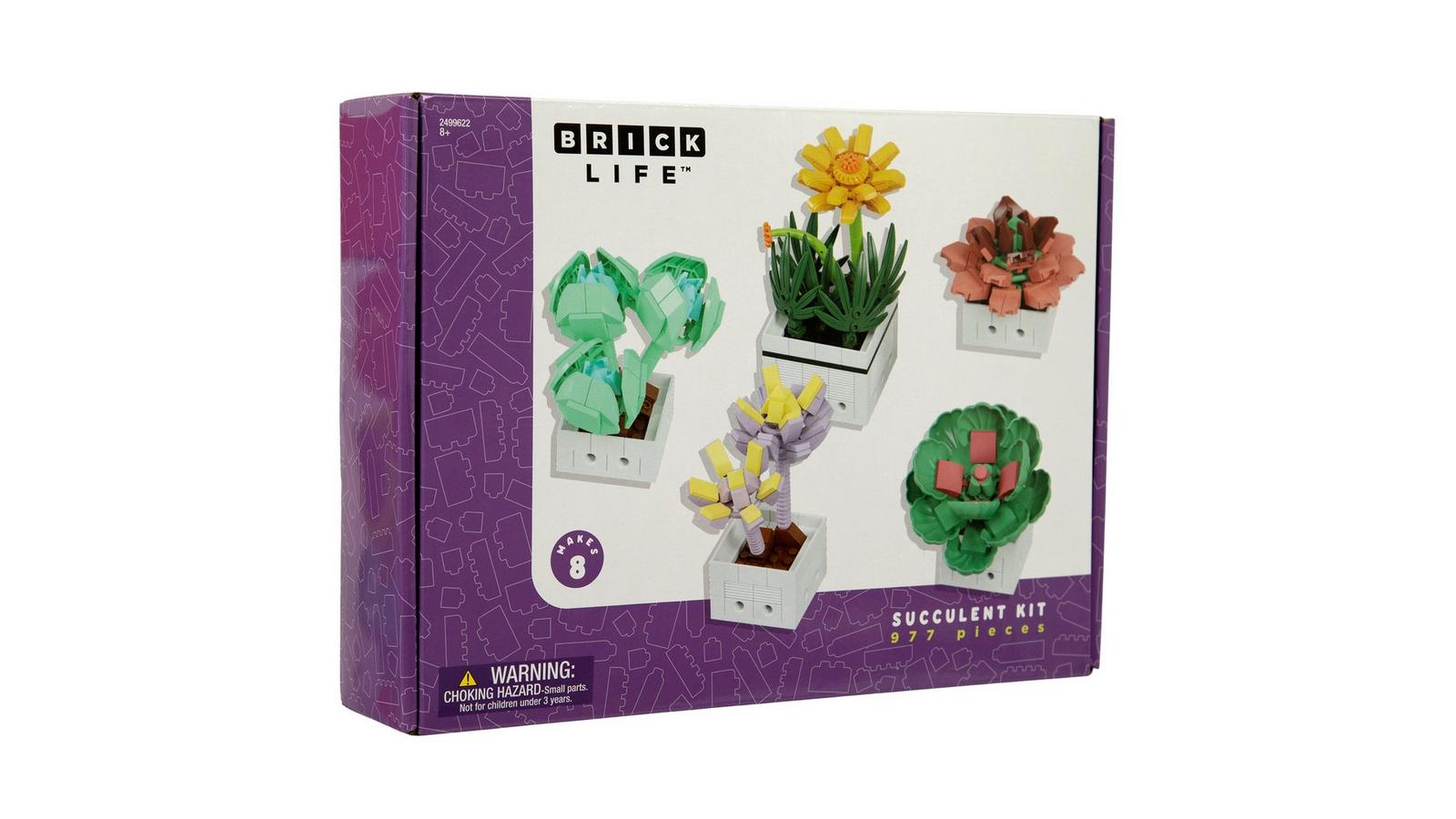 diy succulent soil Succulent Terrarium DIY Kit  Full Moon Glass Terrarium Large Planter