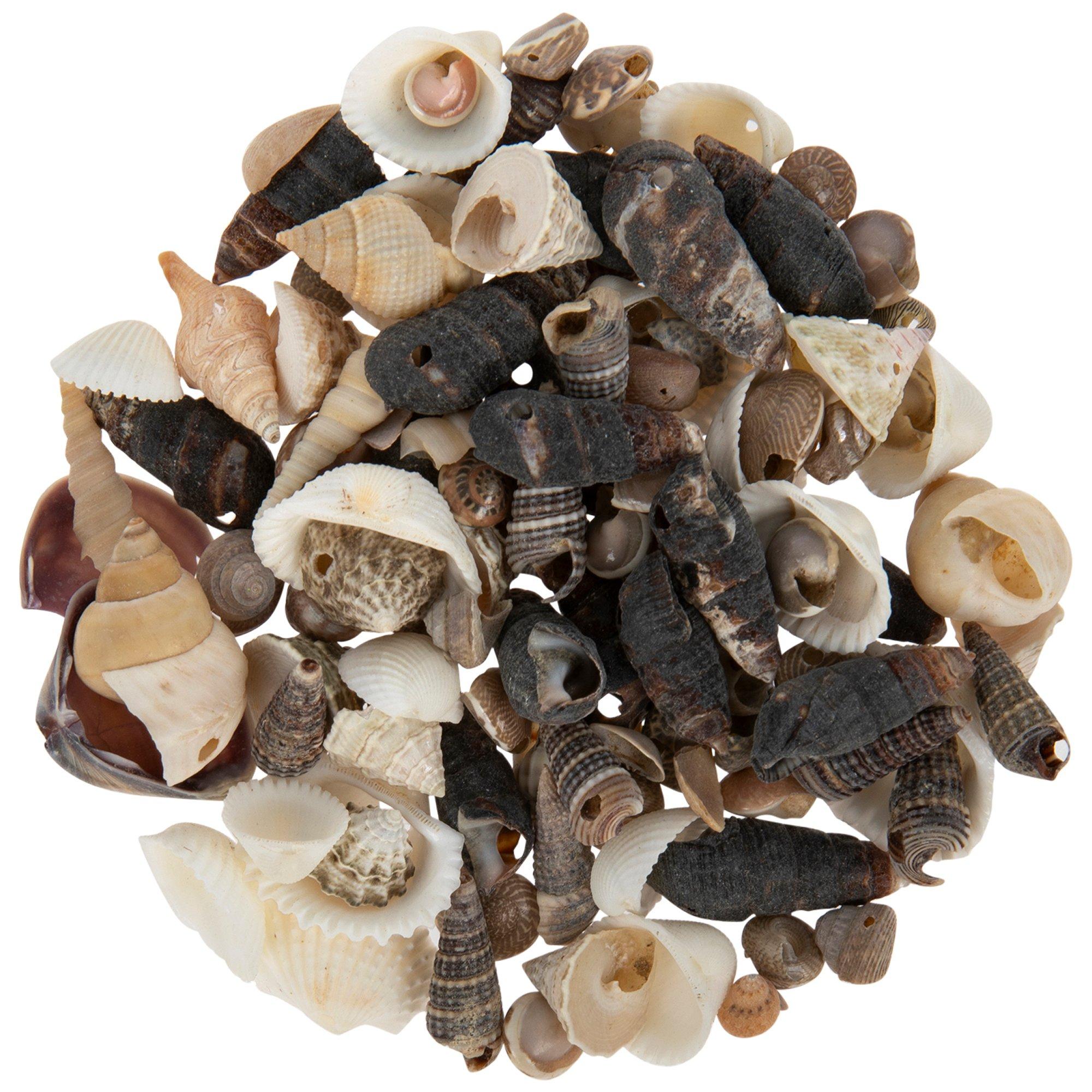 2500254-81218290-12202024-IMGSET