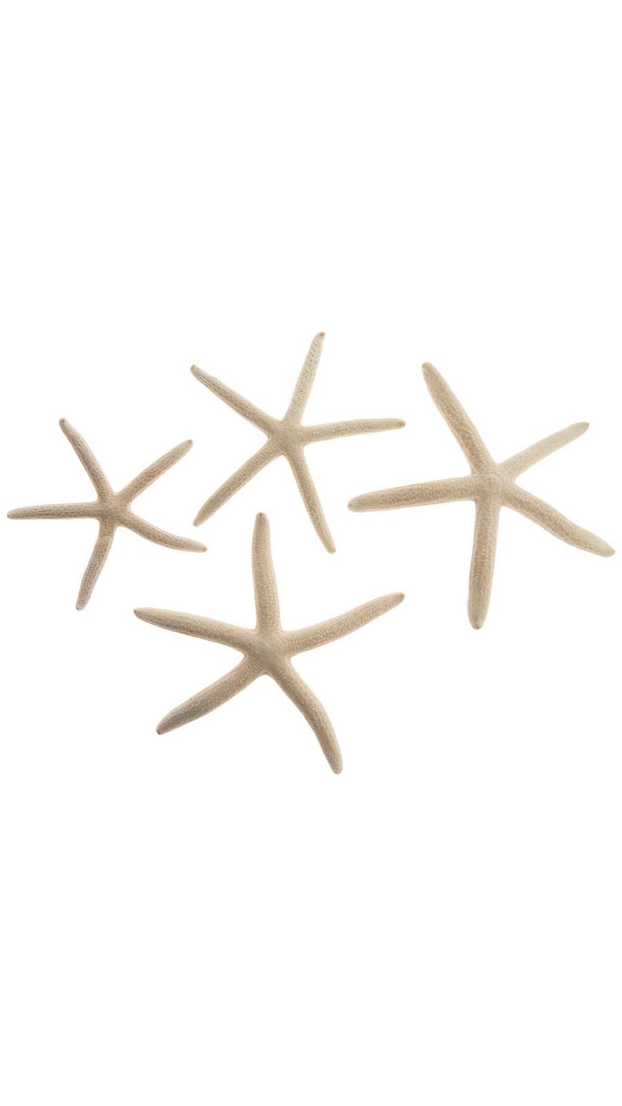 Society6 ケース VINTAGE STARFISH by Studio70 Blue & White Starfish | Hobby Lobby | 1953116