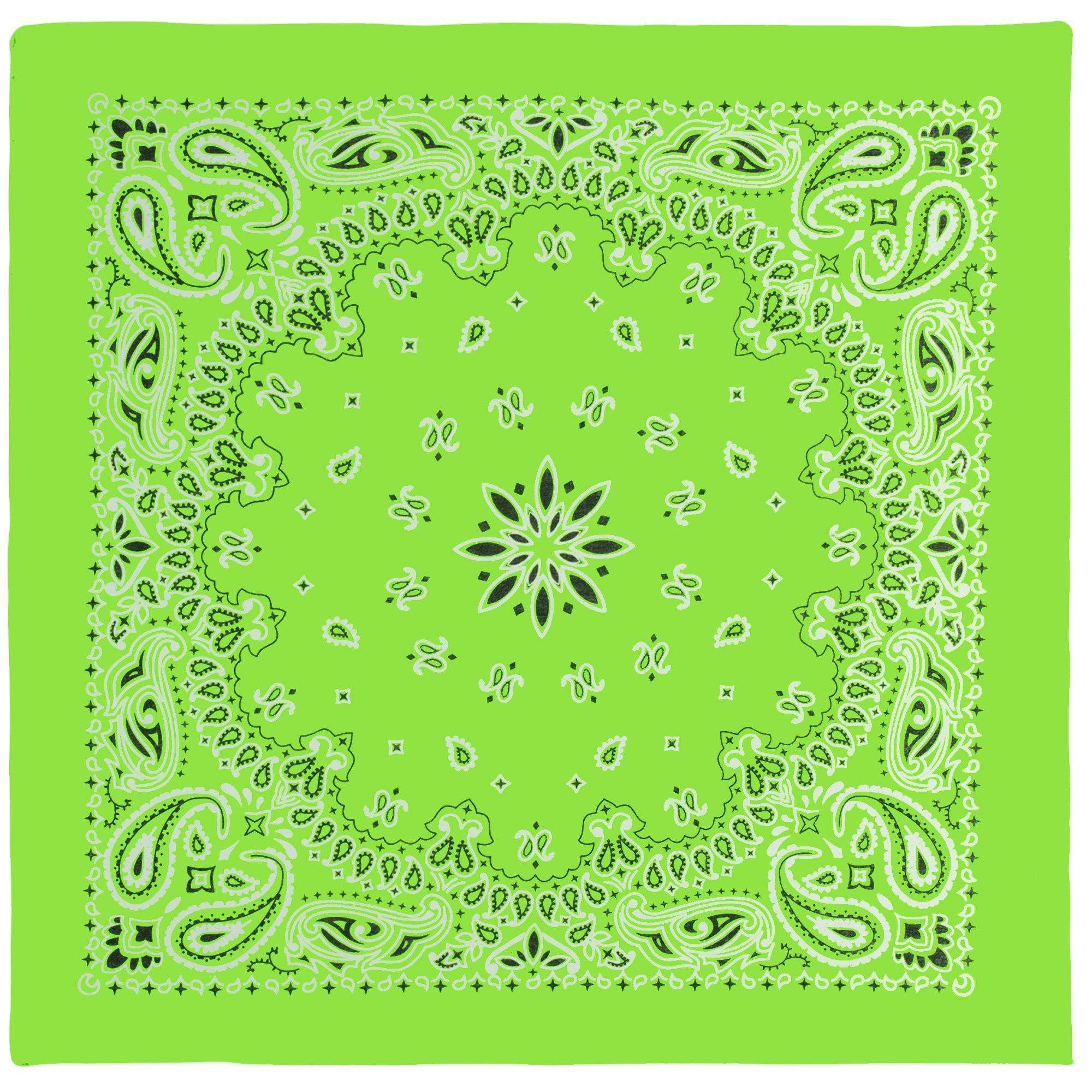 Paisley Bandana Hobby Lobby 250274