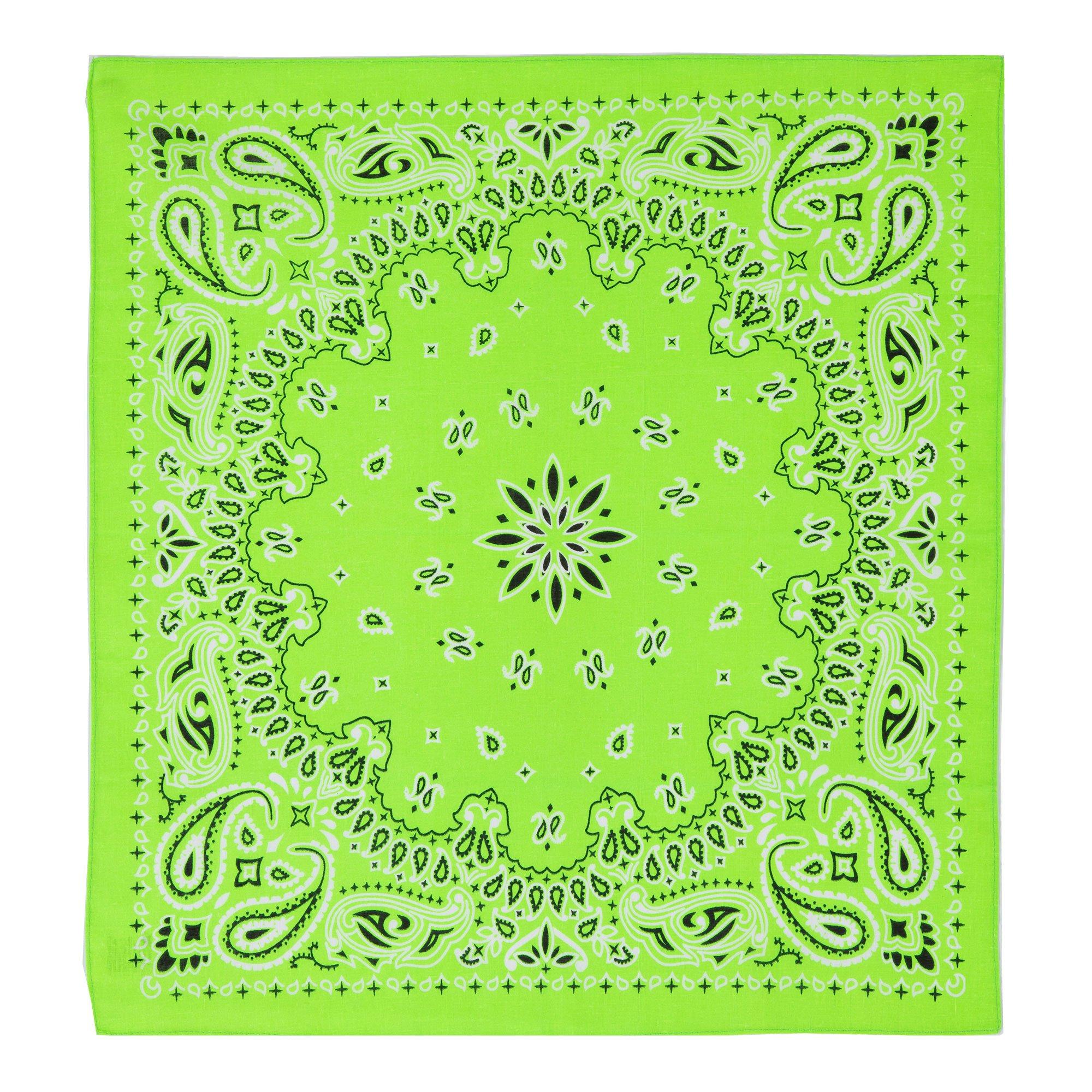 Paisley Bandana Hobby Lobby 250274