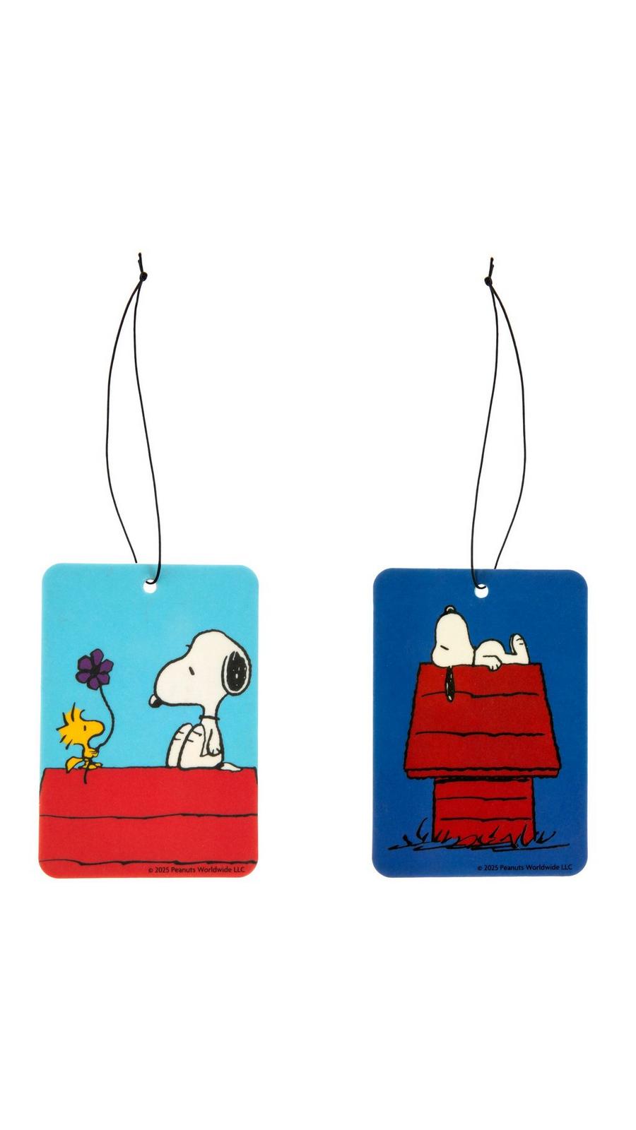 2546778-81233339-03062025-