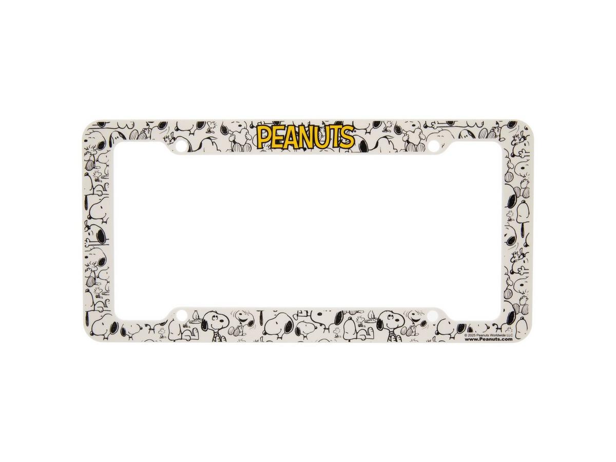 2546802-81233343-03262025-