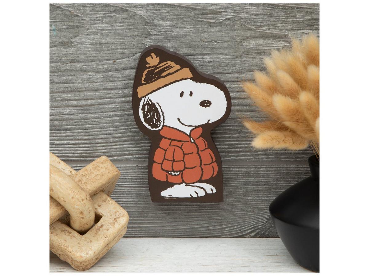Figurine Snoopy Sport D'Hiver - Cadre 3D Résine, édition Avenue Of The Stars, France