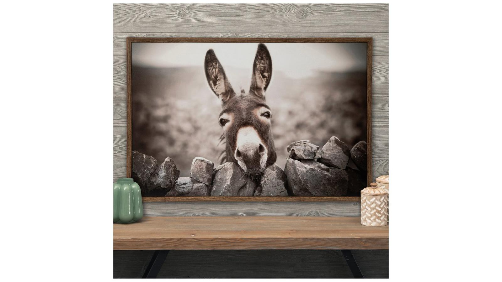 Burro Bliss Wood Wall Decor | Hobby Lobby | 2549236