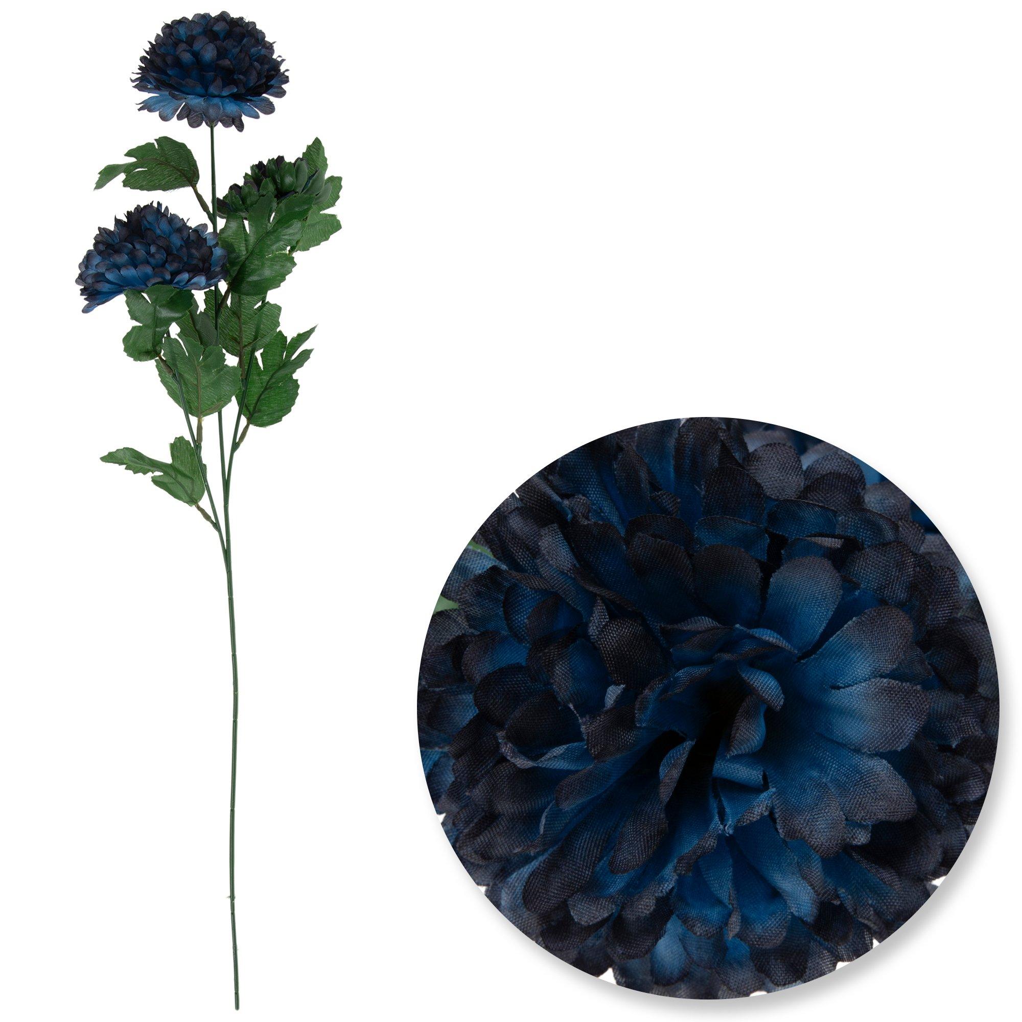 255877-1450-05052025-IMGSET