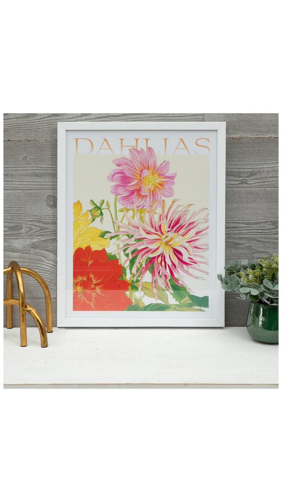 絵画　生き物　花　Dahlia Dahlia flower botanical illustration chrysanthemum realistic