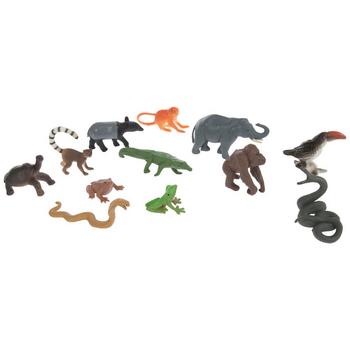 Rainforest Animals