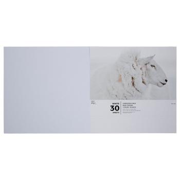 Cardstock Paper Pack - 12" x 24"