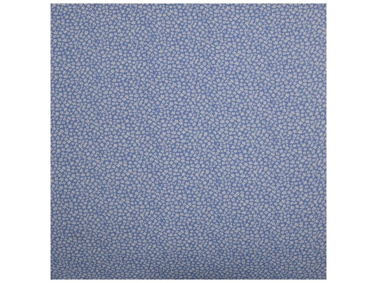 2593168-81251065-10132025-