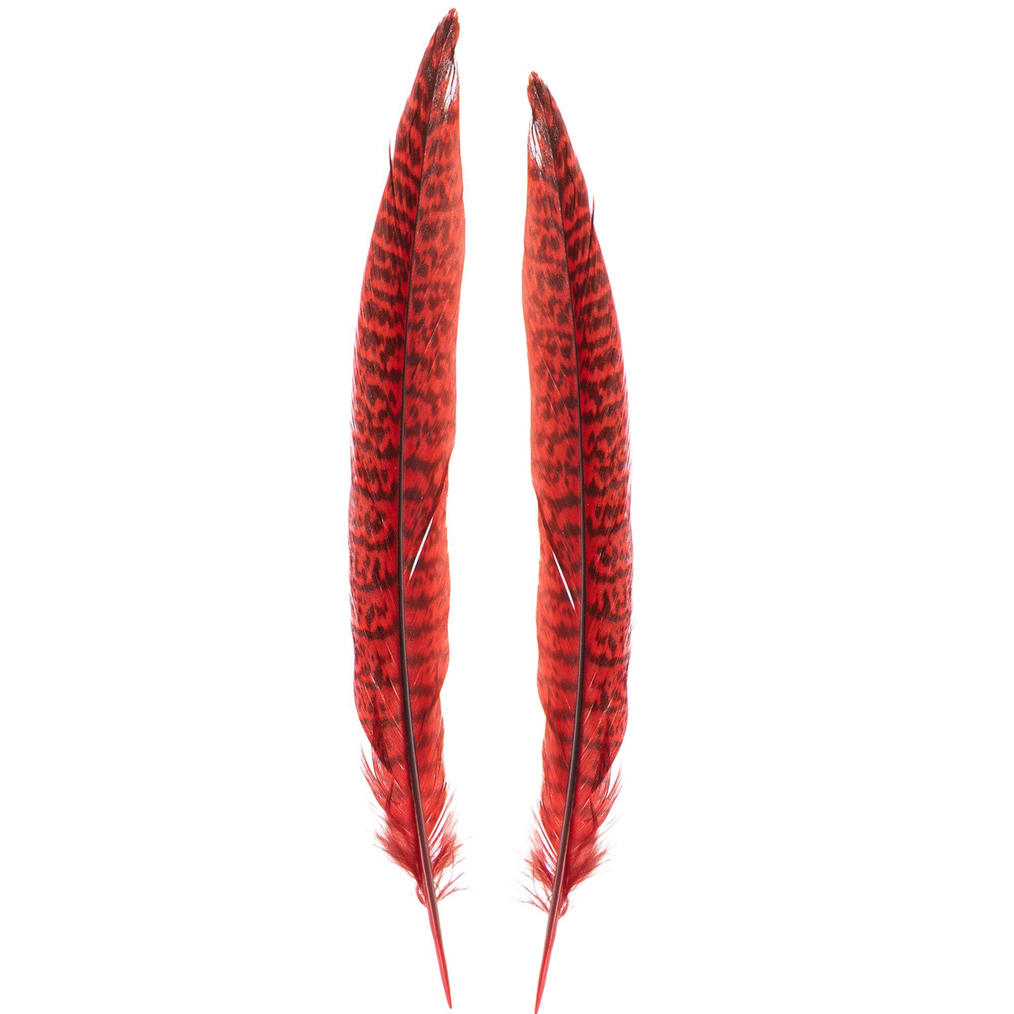 Earth Mix Mini Craft Feathers - 3