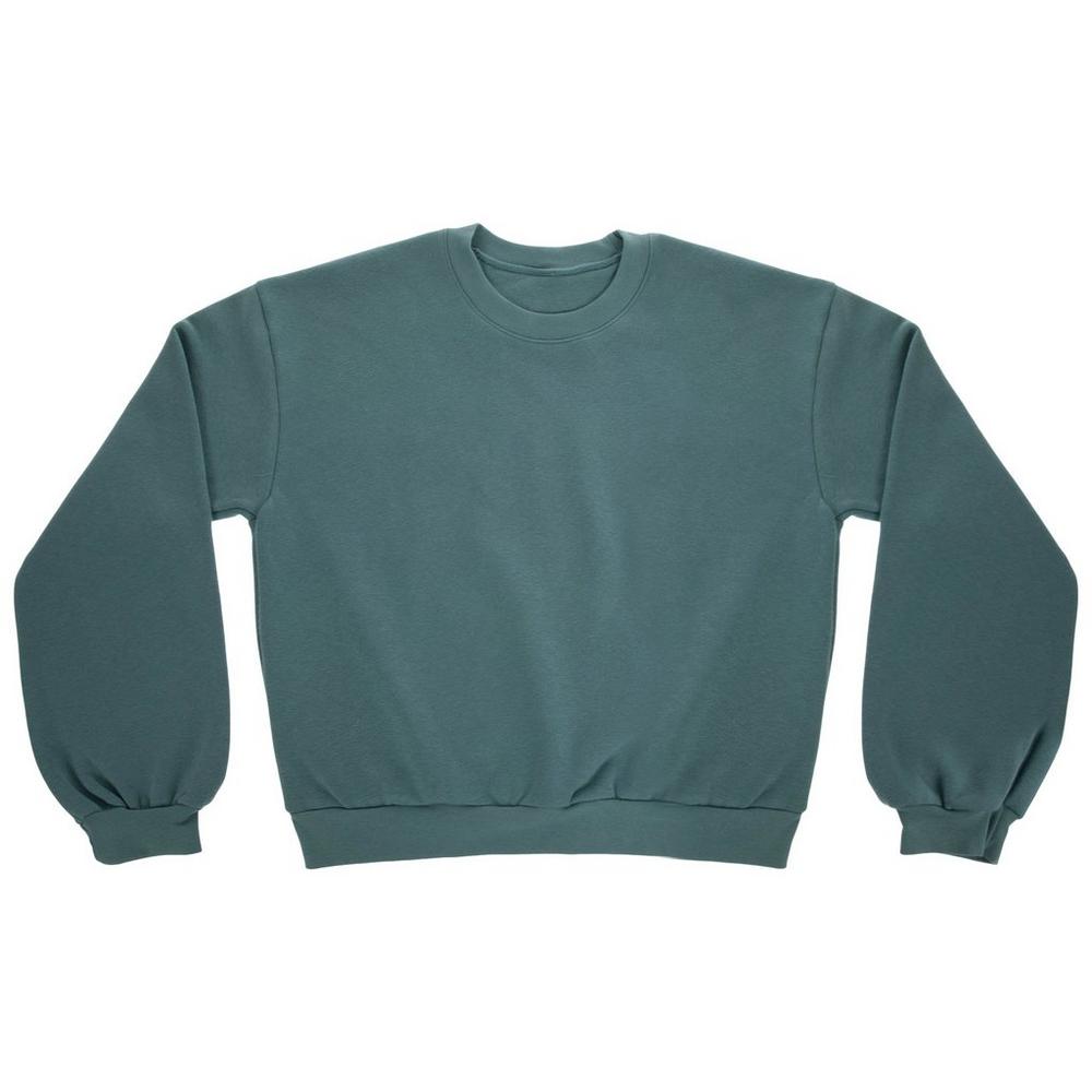 Comfort Colors Adult Crew Sweatshirt | Hobby Lobby | 2600773