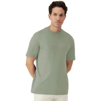 Sage - Adult Crew T-Shirt - 2XL