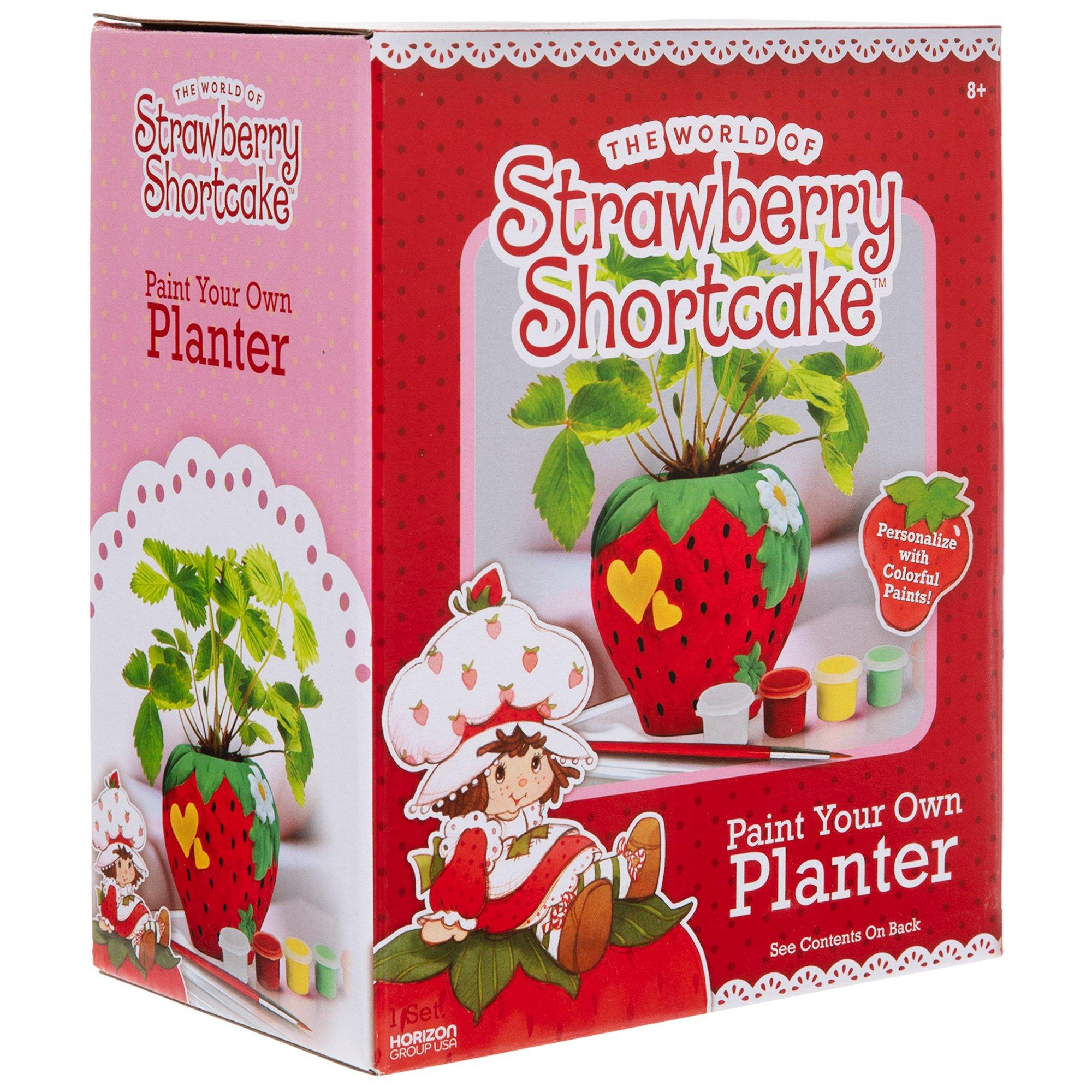 Strawberry Shortcake Paint Your Own Planter Kit | Hobby Lobby