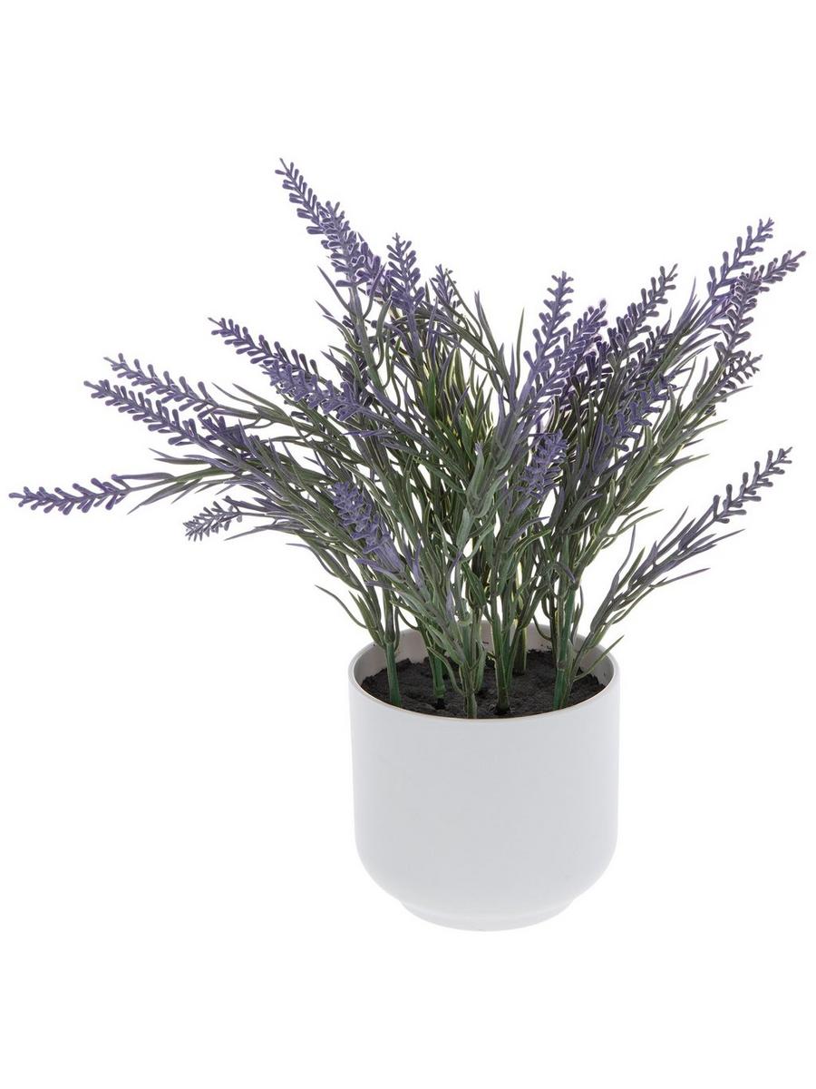 Lavender In White Pot | Hobby Lobby | 2606945