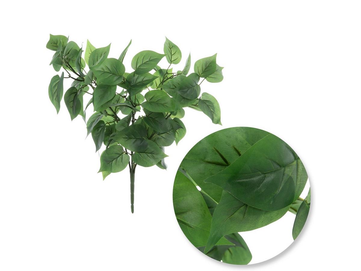 red pothos Pothos 'Satin' | Indoor Plant | Tropical Plant | Potted Plant main image 1