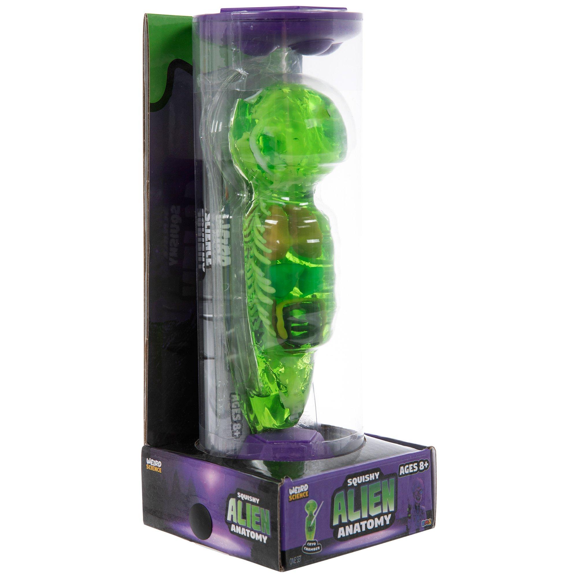 Squishy Alien Anatomy Kit | Hobby Lobby | 2613156