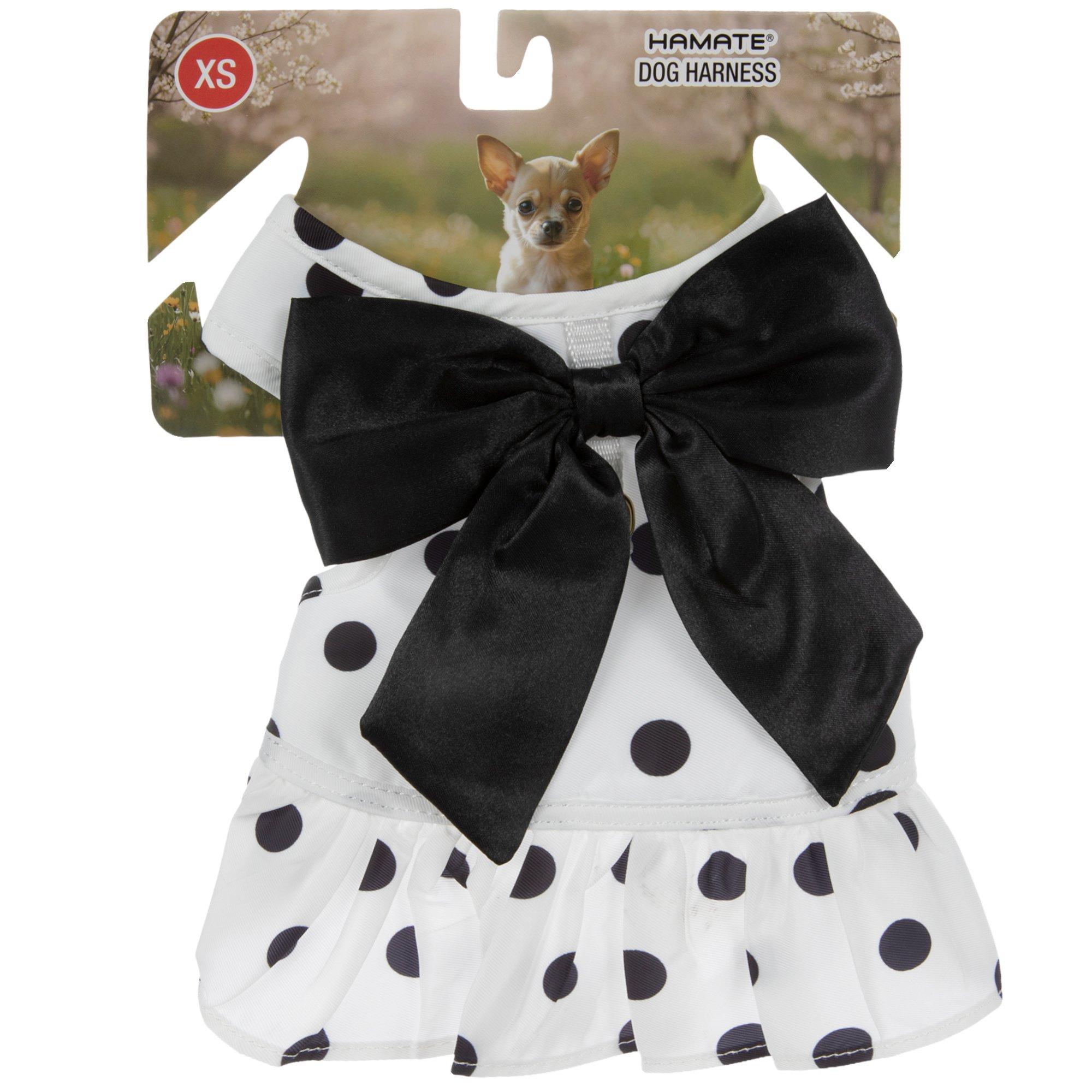 dog dress black Summerlin Lace Maxi Dress - Black Sundress main image 1