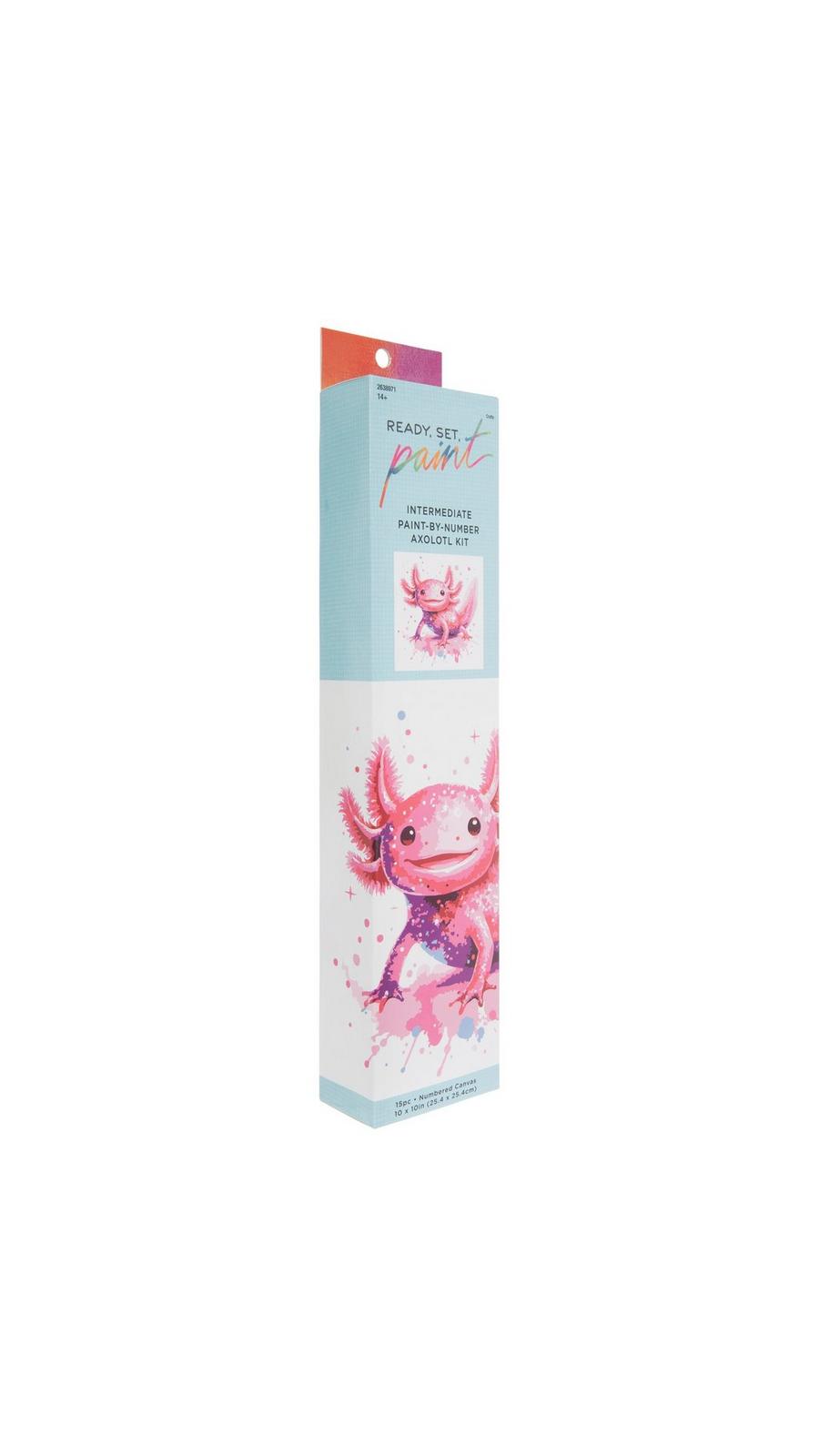 Pink Axolotl Paint By Numbers Kit | Hobby Lobby | 2638971