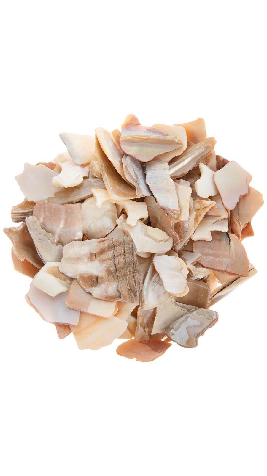 Natural Mother Of Pearl Mix | Hobby Lobby | 2645943