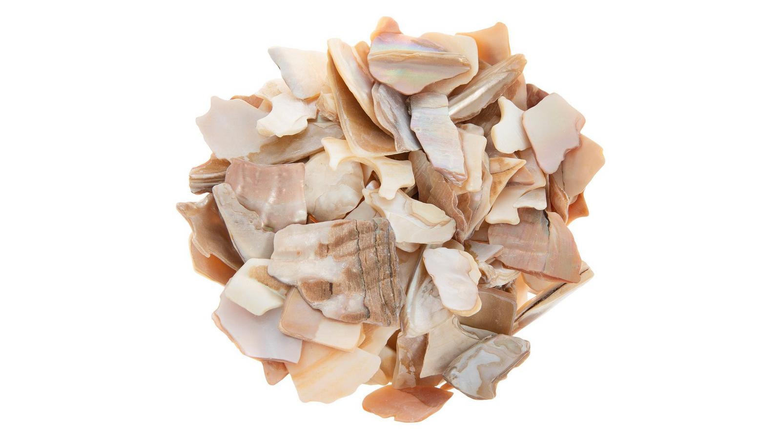 Natural Mother Of Pearl Mix | Hobby Lobby | 2645943