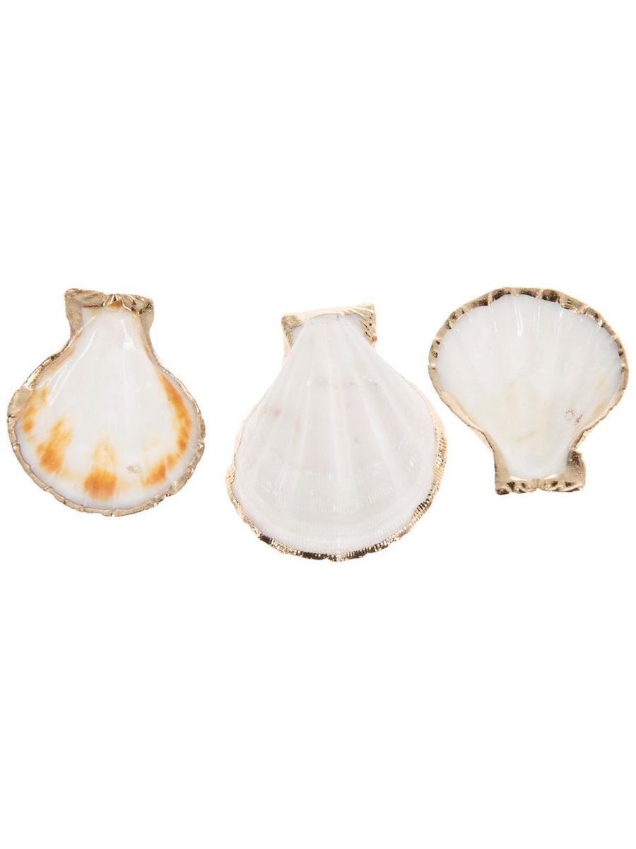 White Pecten Shells With Gold Trim | Hobby Lobby | 2646008