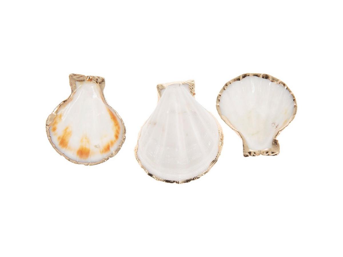 White Pecten Shells With Gold Trim | Hobby Lobby | 2646008