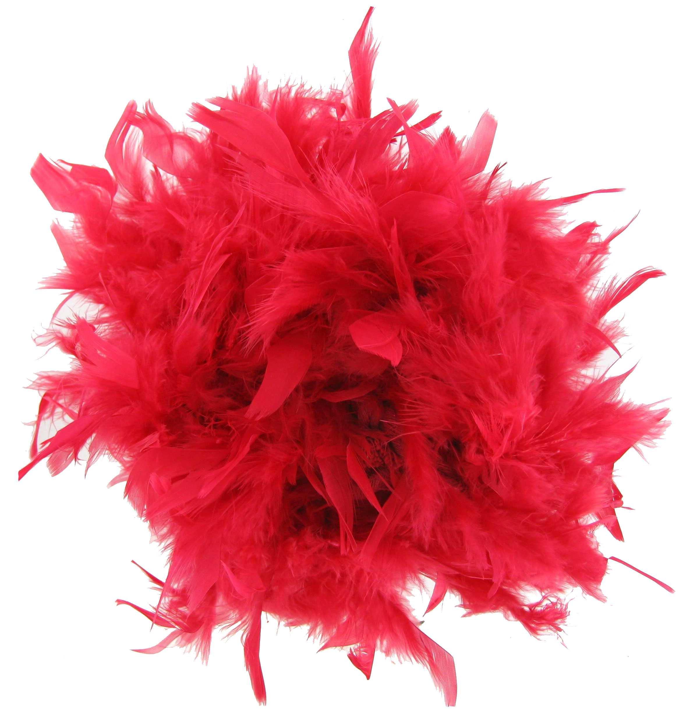 Chandelle Feather Boa Hobby Lobby 268003