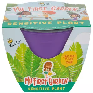 Sensitive Plant Starter Flower Grow Kit