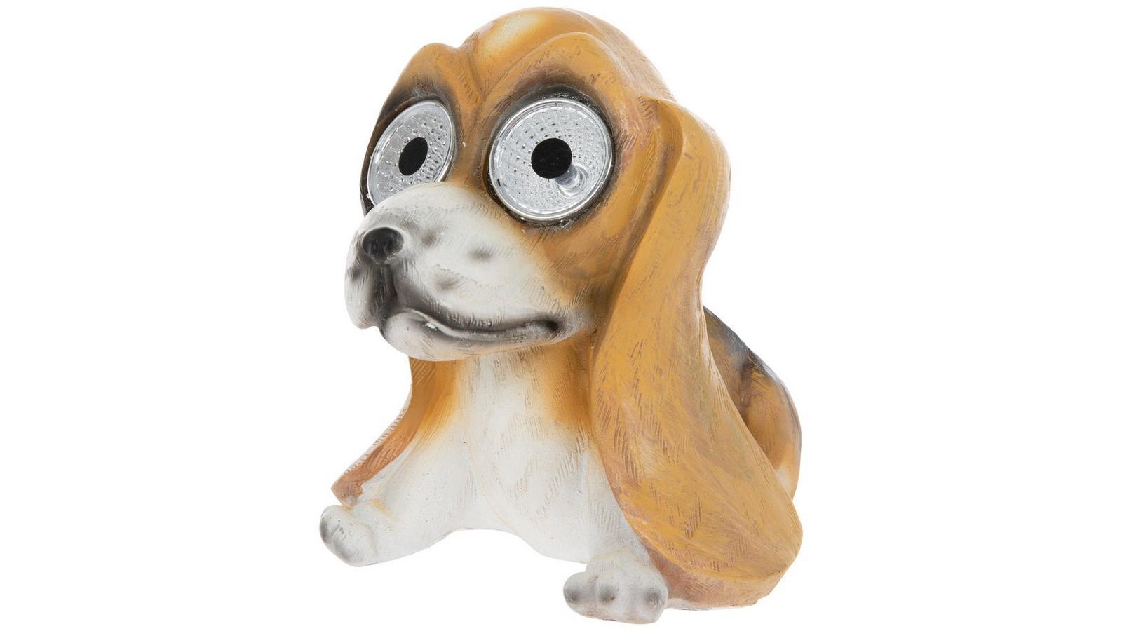 Orecchini Pendente In Acrilico A Forma Di Basset Hound Marrone, Gioielli Divertenti Per Amanti Dei Cani, Regalo Con Astuccio Velluto