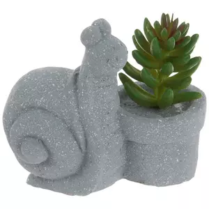Snail With Potted Succulent