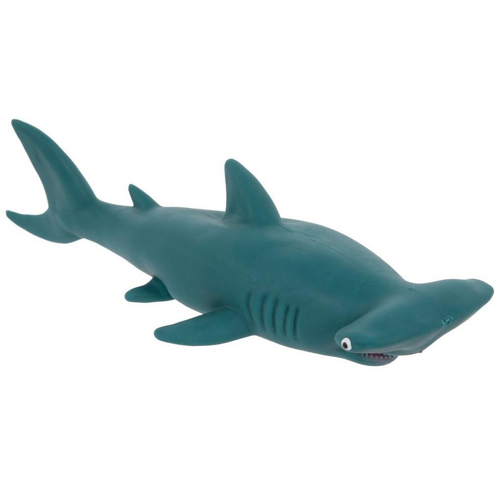 ながいひゆ(Hammer Head Shark)demo CD1◾️サイン入り Amazon.com: Hammerhead Shark (Bullfrog Books: Shark Bites